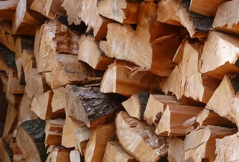 Stack of Maple Firewood