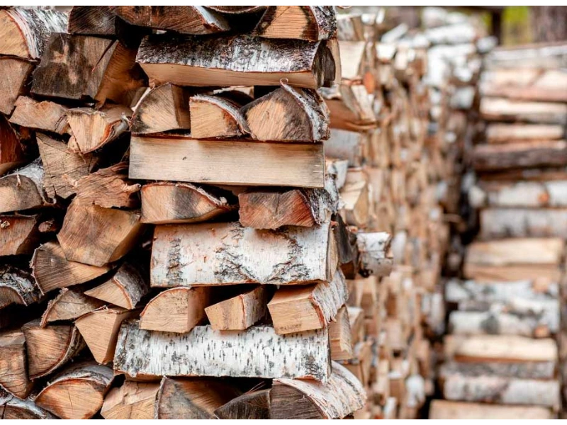 White Birch Firewood stacked properly for drying