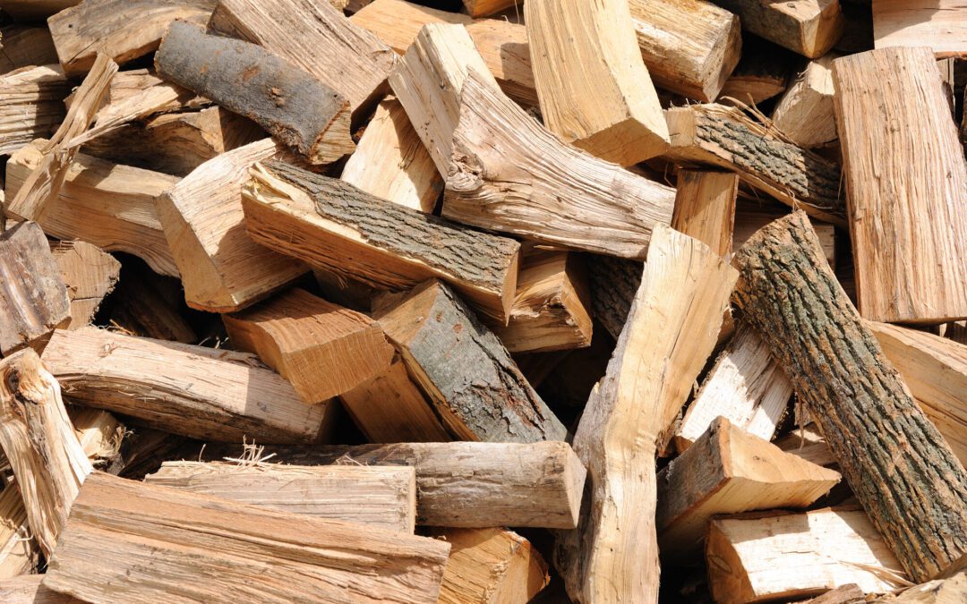 Advice for an Expert: How to Start a Fire With Wood