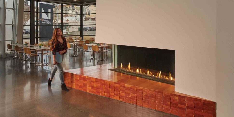 Commercial Fireplace by Davinci