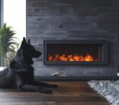 Dog lying in front of a modern electric fireplace with a cozy flame effect.