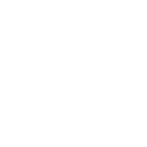 Hearth & Home Technologies White